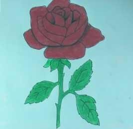 Detail Gambar Bunga Mawar Lukisan Tangan Nomer 9