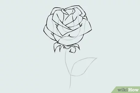 Detail Gambar Bunga Mawar Menggunakan Pensil Nomer 54