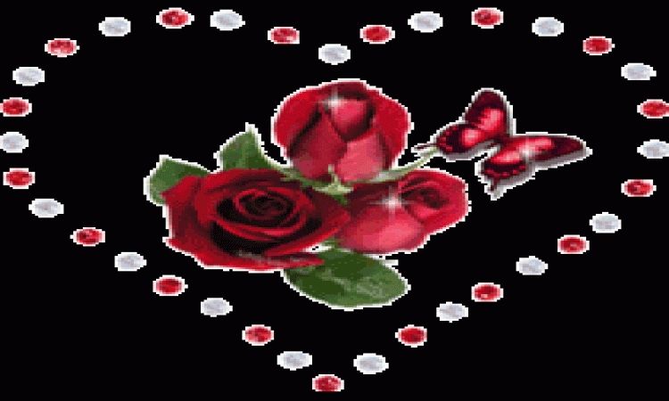 Detail Gambar Bunga Mawar Merah Bergerak Nomer 26