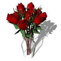 Detail Gambar Bunga Mawar Merah Bergerak Nomer 9