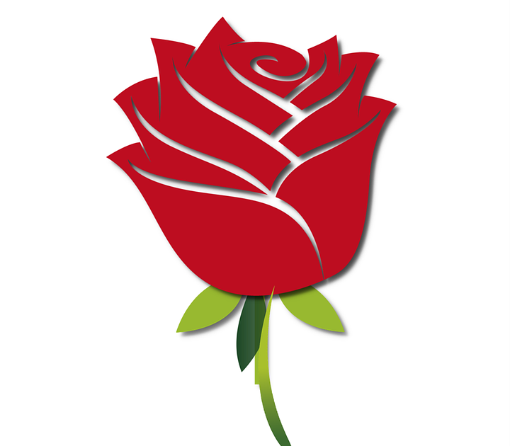 Detail Gambar Bunga Mawar Merah Kartun Nomer 2