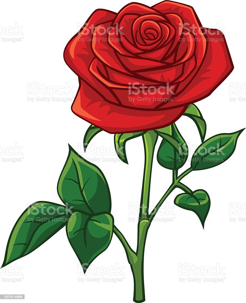 Detail Gambar Bunga Mawar Merah Kartun Nomer 14