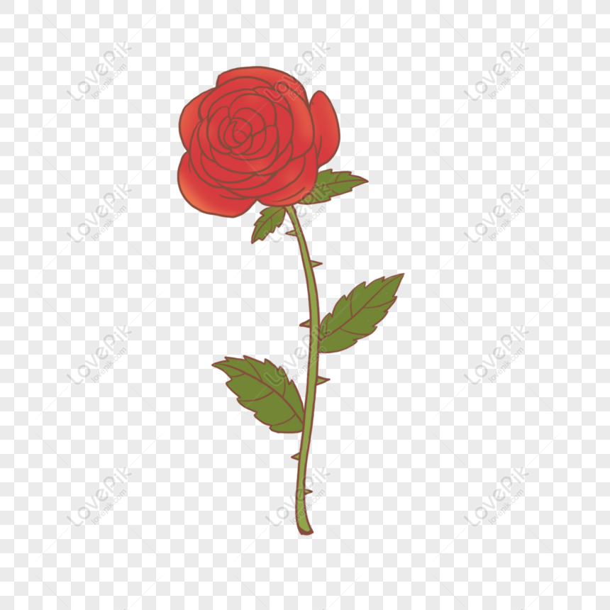 Detail Gambar Bunga Mawar Merah Kartun Nomer 16