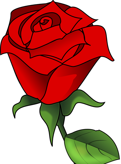Detail Gambar Bunga Mawar Merah Kartun Nomer 19