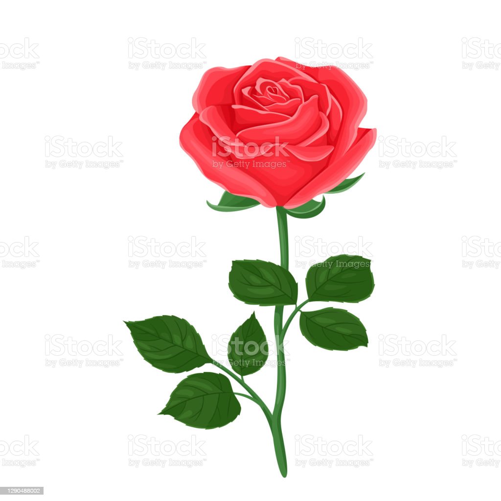 Detail Gambar Bunga Mawar Merah Kartun Nomer 23