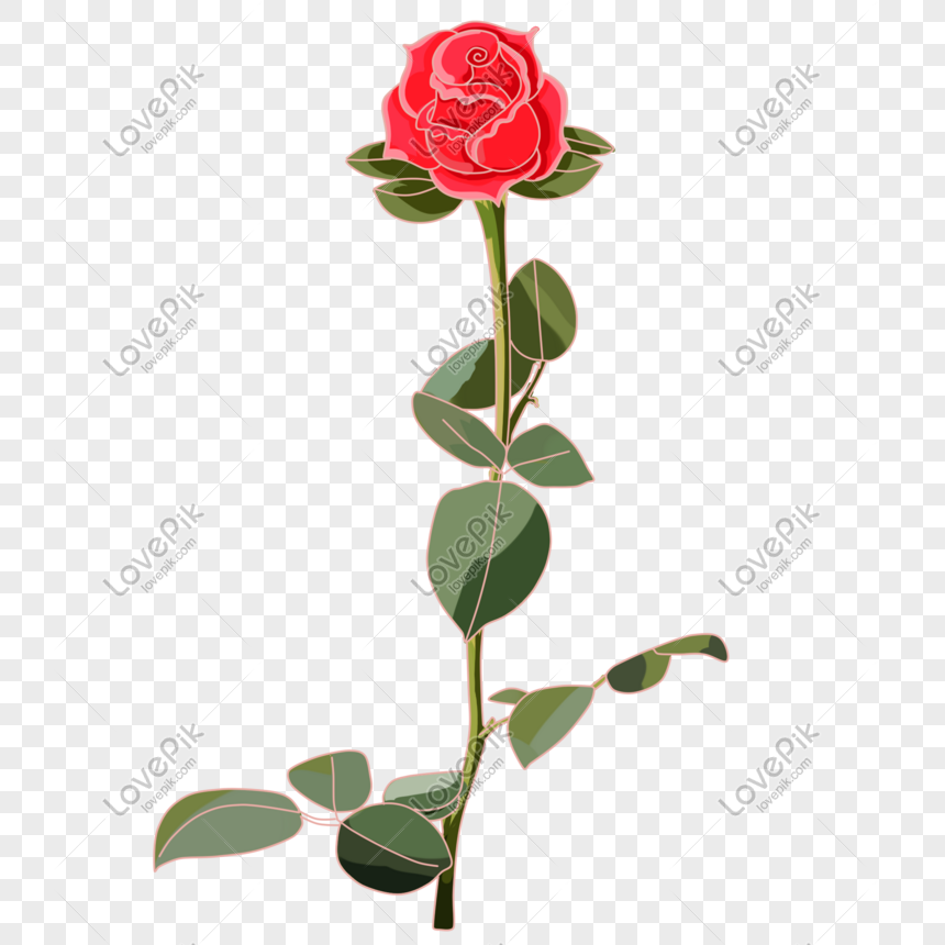 Detail Gambar Bunga Mawar Merah Kartun Nomer 28