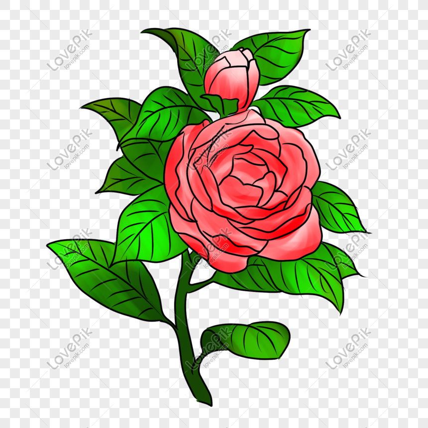 Detail Gambar Bunga Mawar Merah Kartun Nomer 4