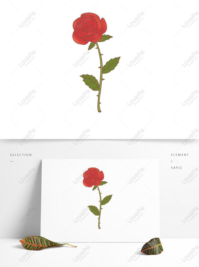 Detail Gambar Bunga Mawar Merah Kartun Nomer 32