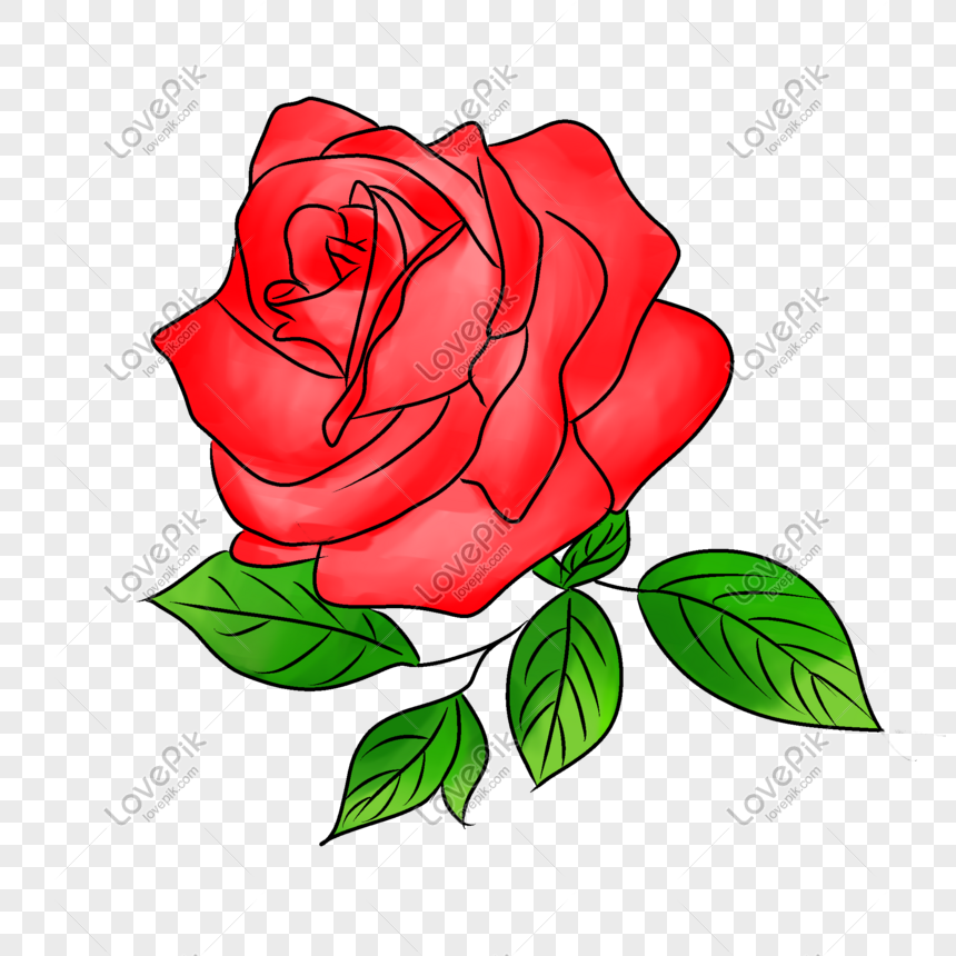 Detail Gambar Bunga Mawar Merah Kartun Nomer 7