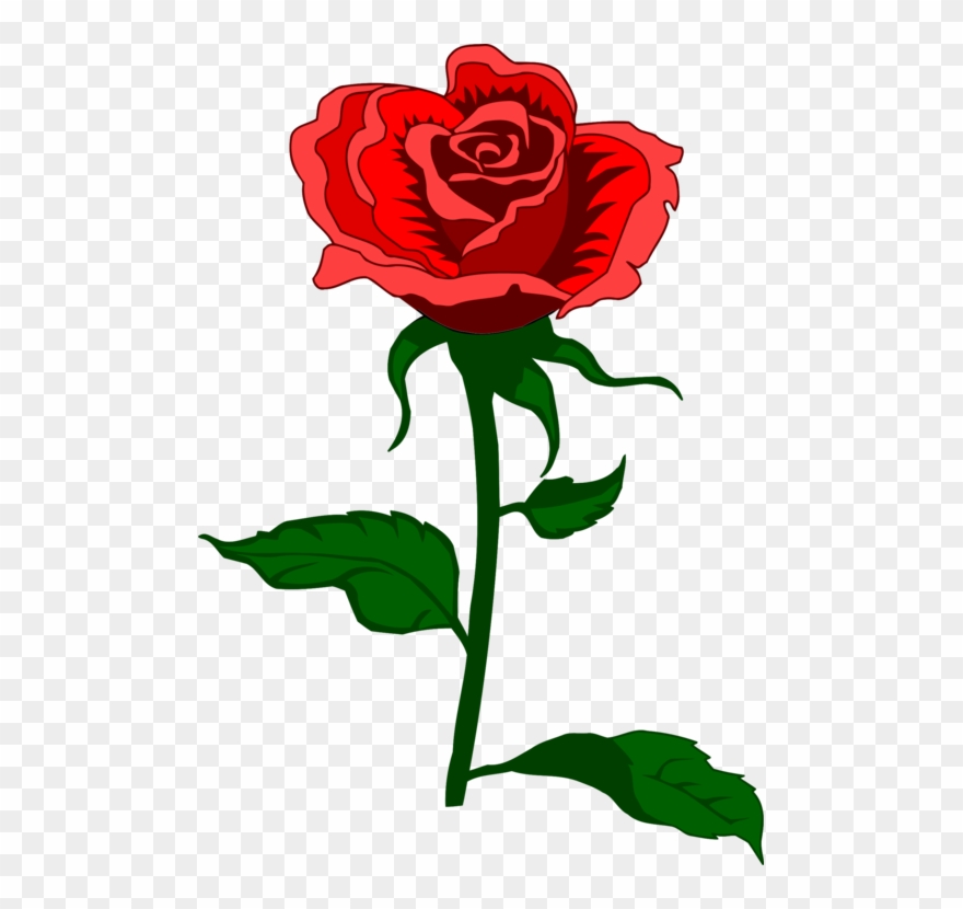 Detail Gambar Bunga Mawar Merah Png Nomer 18