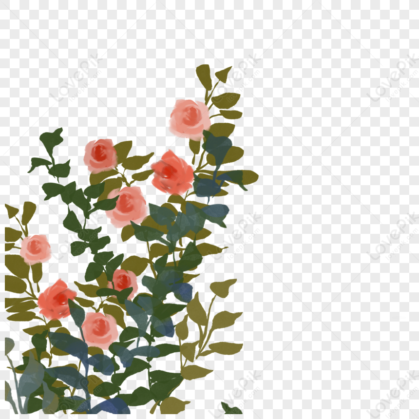Detail Gambar Bunga Mawar Merah Png Nomer 32