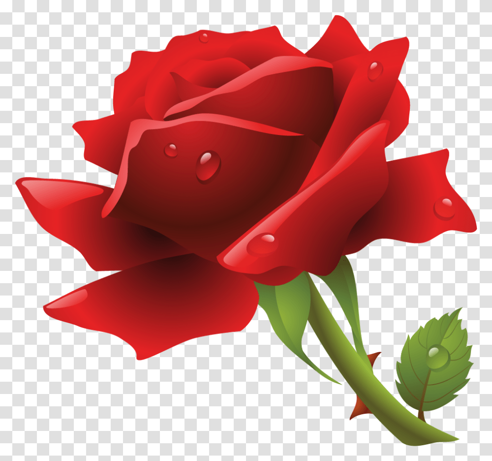 Detail Gambar Bunga Mawar Merah Png Nomer 35