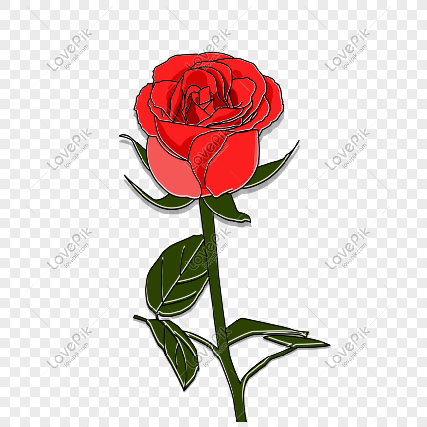 Detail Gambar Bunga Mawar Merah Png Nomer 47