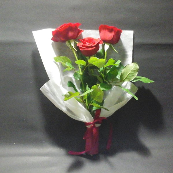 Download Gambar Bunga Mawar Merah Segar Nomer 25