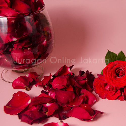 Detail Gambar Bunga Mawar Merah Segar Nomer 36