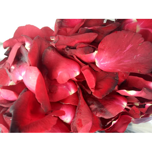 Detail Gambar Bunga Mawar Merah Segar Nomer 38
