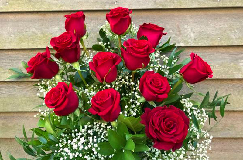 Detail Gambar Bunga Mawar Merah Tercantik Nomer 51