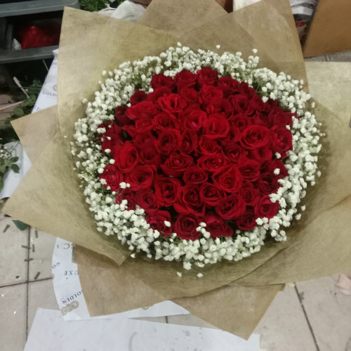Detail Gambar Bunga Mawar Merah Yang Sangat Cantik Nomer 49
