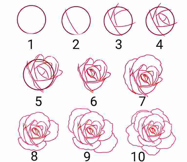 Detail Gambar Bunga Mawar Mudah Ditiru Nomer 23