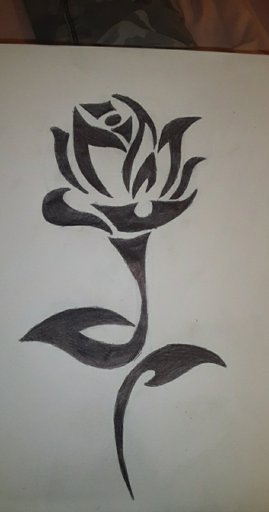 Detail Gambar Bunga Mawar Pake Pensil Nomer 34