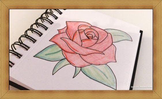 Detail Gambar Bunga Mawar Paling Mudah Nomer 12