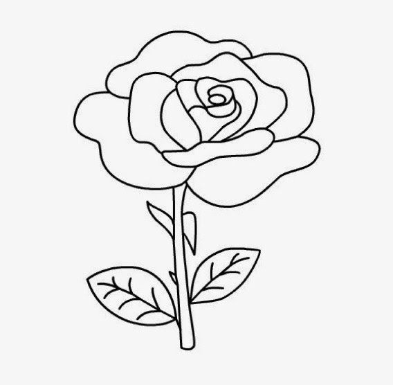 Detail Gambar Bunga Mawar Paling Mudah Nomer 3