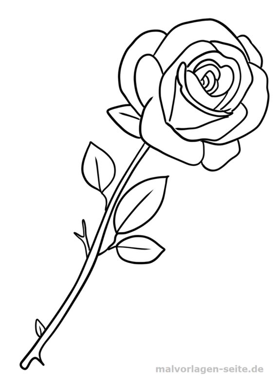 Detail Gambar Bunga Mawar Paling Mudah Nomer 41