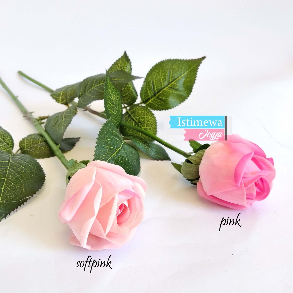 Detail Gambar Bunga Mawar Pink Cantik Nomer 29