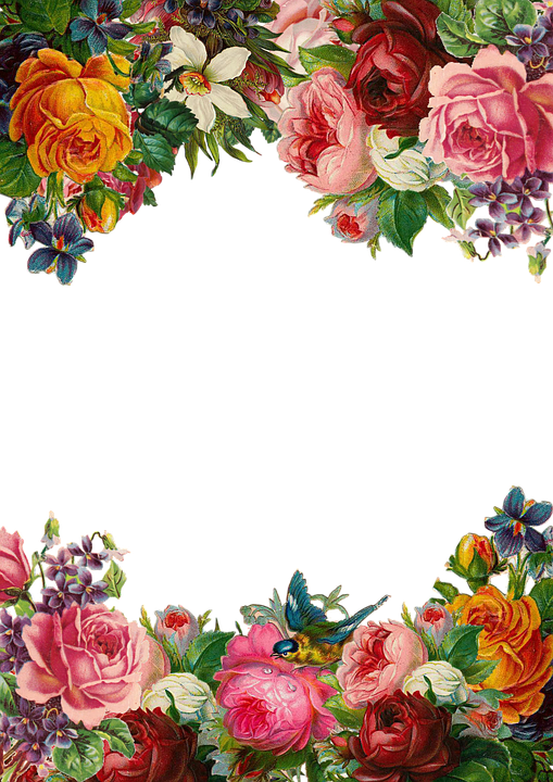 Detail Gambar Bunga Mawar Pixabay Nomer 36