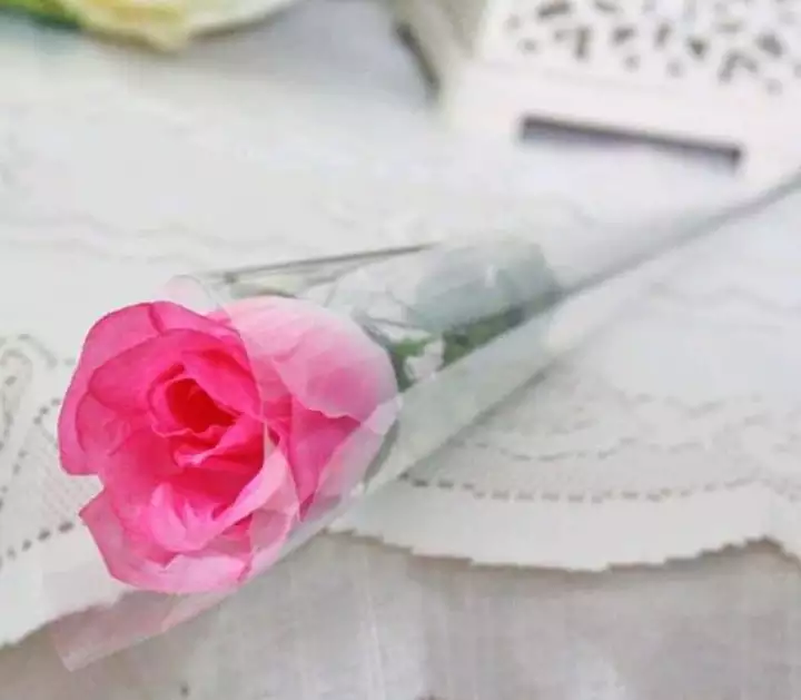 Detail Gambar Bunga Mawar Romantis Nomer 16