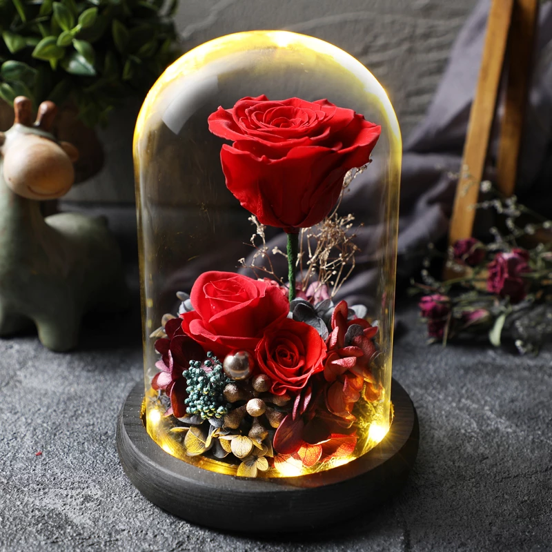 Detail Gambar Bunga Mawar Romantis Nomer 48