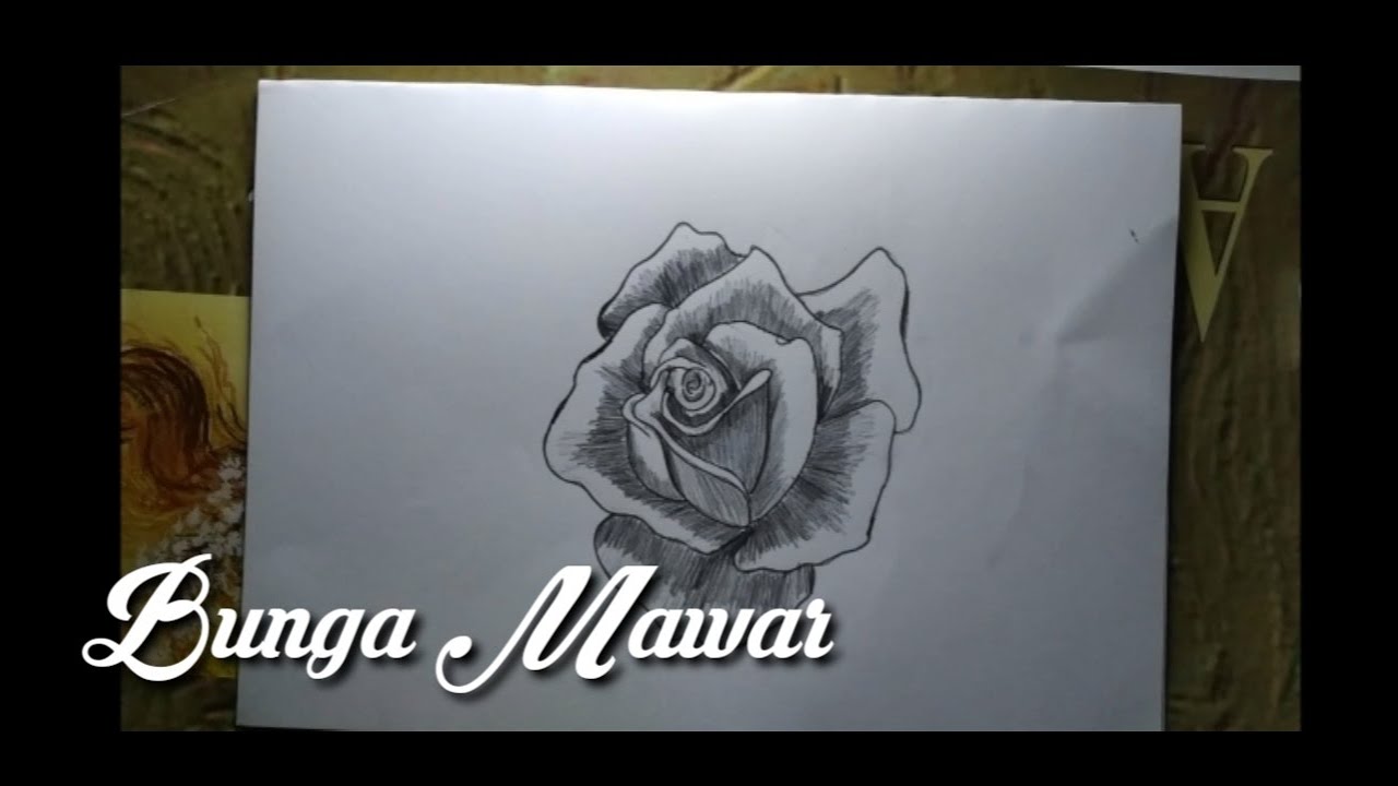 Detail Gambar Bunga Mawar Sketsa Nomer 37
