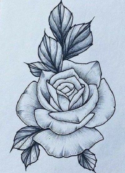 Detail Gambar Bunga Mawar Tato Nomer 15