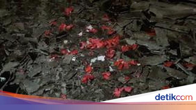 Detail Gambar Bunga Mawar Terbakar Nomer 8