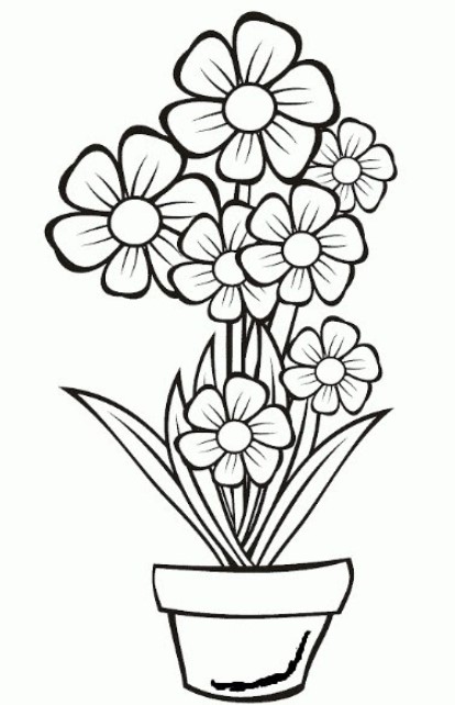 Detail Gambar Bunga Mawar Tk Nomer 45