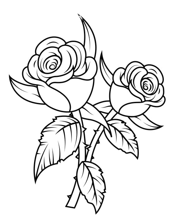 Detail Gambar Bunga Mawar Untuk Diwarnai Nomer 9