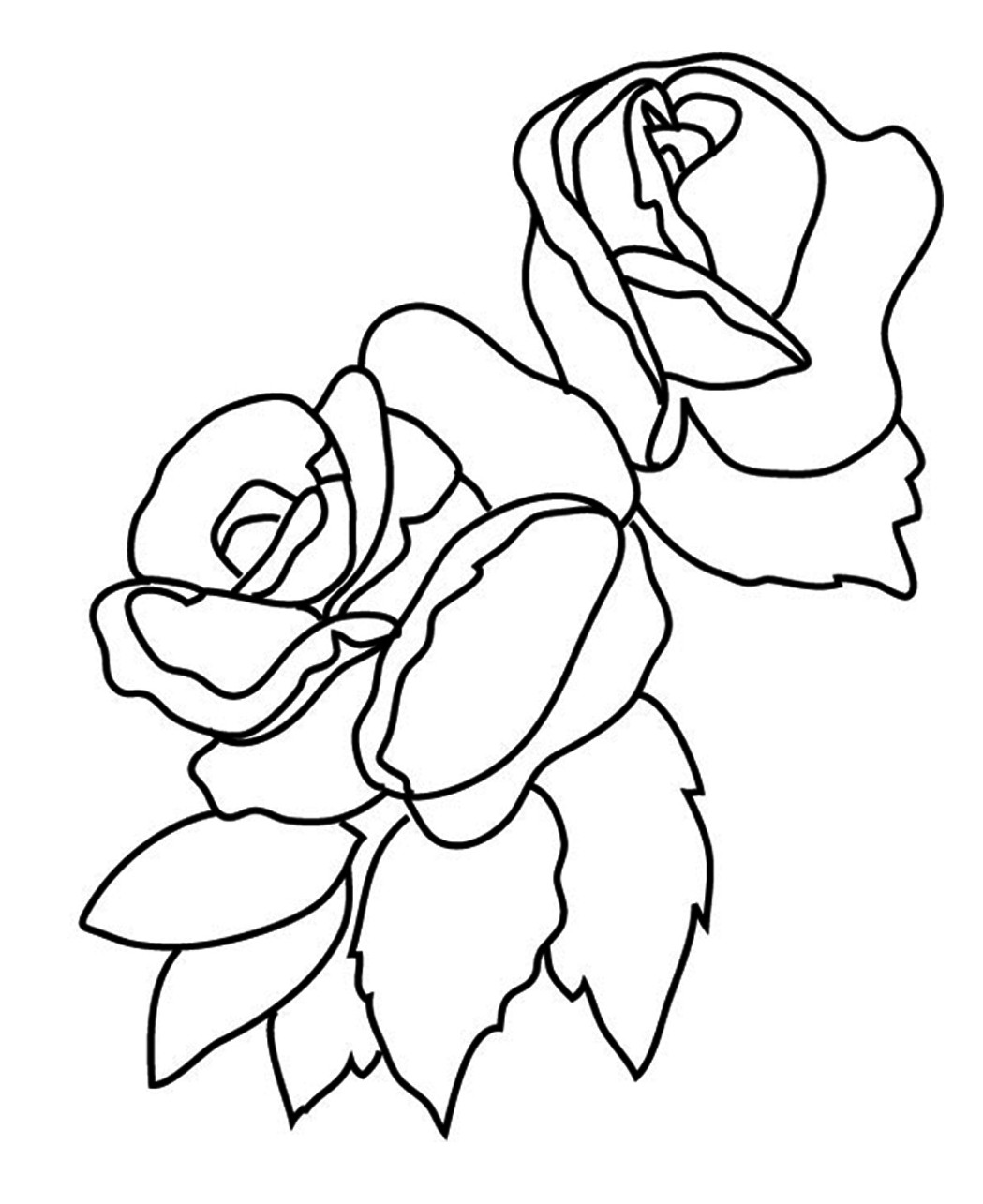 Detail Gambar Bunga Mawar Untuk Mewarnai Nomer 18