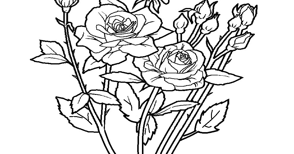 Detail Gambar Bunga Mawar Untuk Mewarnai Nomer 48