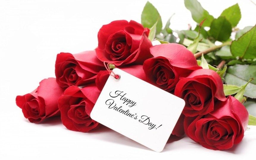 Gambar Bunga Mawar Valentine - KibrisPDR