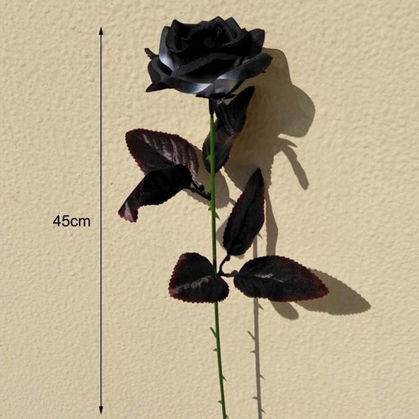 Detail Gambar Bunga Mawar Warna Hitam Nomer 16