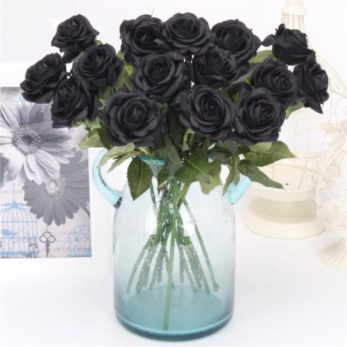 Detail Gambar Bunga Mawar Warna Hitam Nomer 49