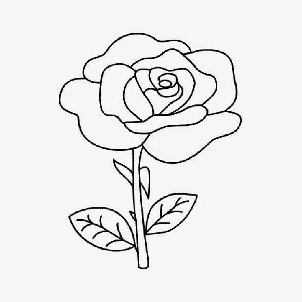 Detail Gambar Bunga Mawar Yang Belum Diwarnai Nomer 9