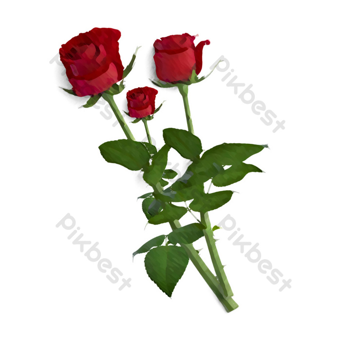 Detail Gambar Bunga Mawar Yang Berduri Nomer 42