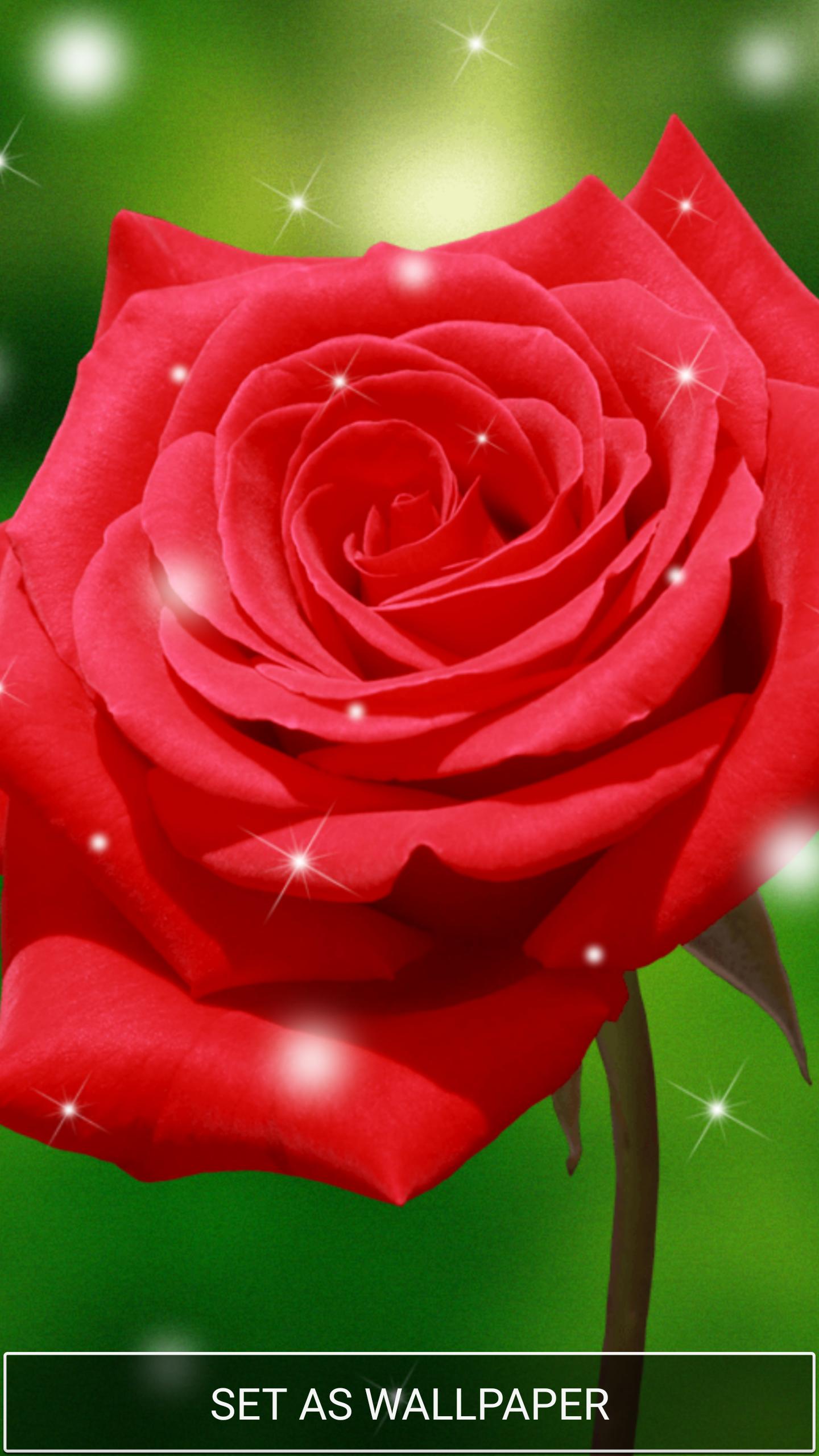 Detail Gambar Bunga Mawar Yang Bisa Di Download Nomer 13