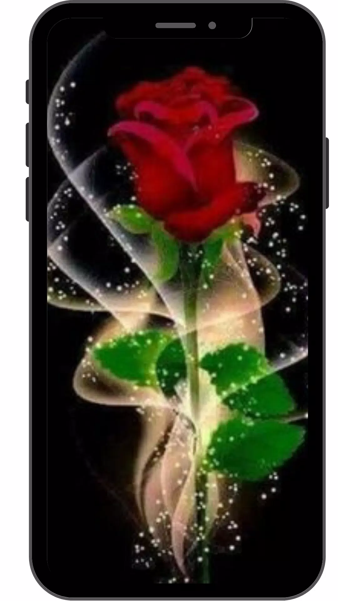 Detail Gambar Bunga Mawar Yang Bisa Di Download Nomer 30