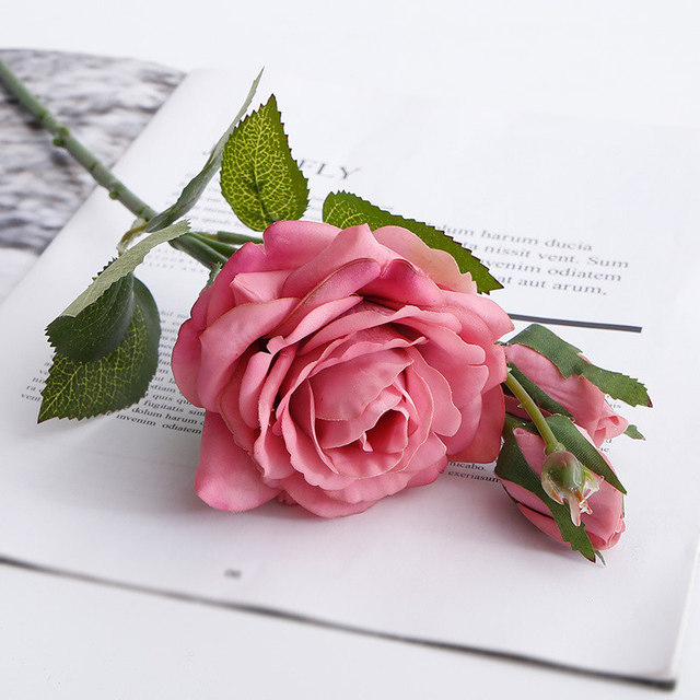 Download Gambar Bunga Mawar Yang Gugur Nomer 42