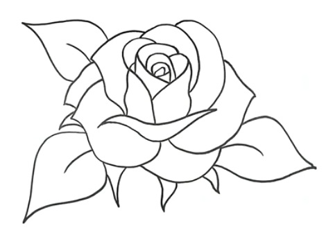 Detail Gambar Bunga Mawar Yang Paling Mudah Nomer 11