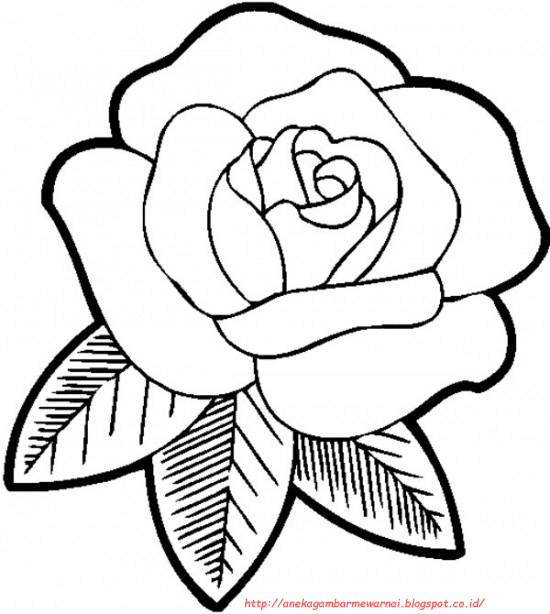 Detail Gambar Bunga Mawar Yang Sudah Diwarnai Nomer 48