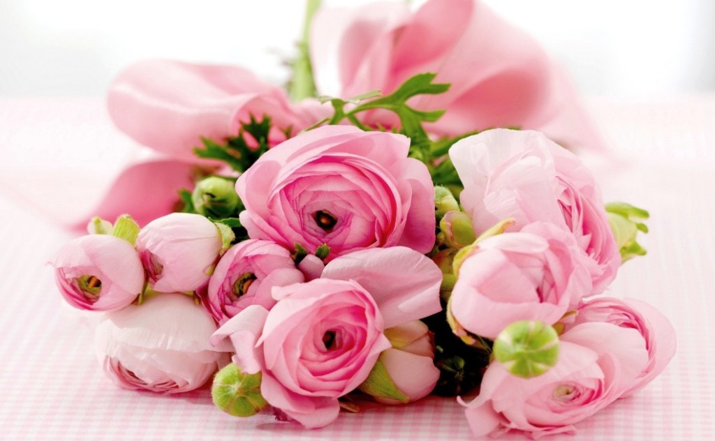 5 Tips Dalam Memilih Buket Bunga Mawar – Toko Bunga Jakarta | Toko Bunga Online | Tws Florist