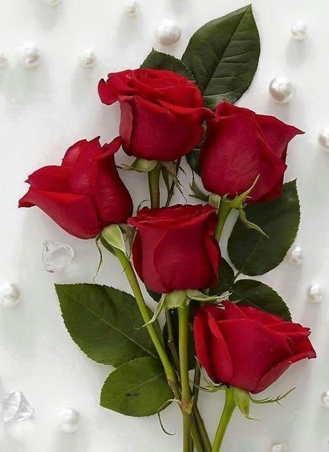 Correo: Pablo Larrea Palacios - Outlook | Birthday Flowers Bouquet, Flower Bouquet Pictures, Rose Flower Wallpaper